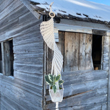 Load image into Gallery viewer, Macramé Plant Hanger - Basil
