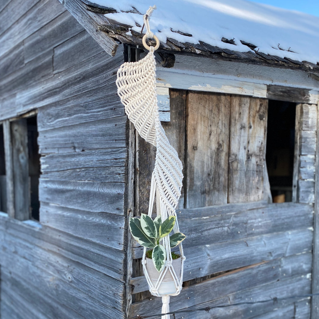 Macramé Plant Hanger - Basil