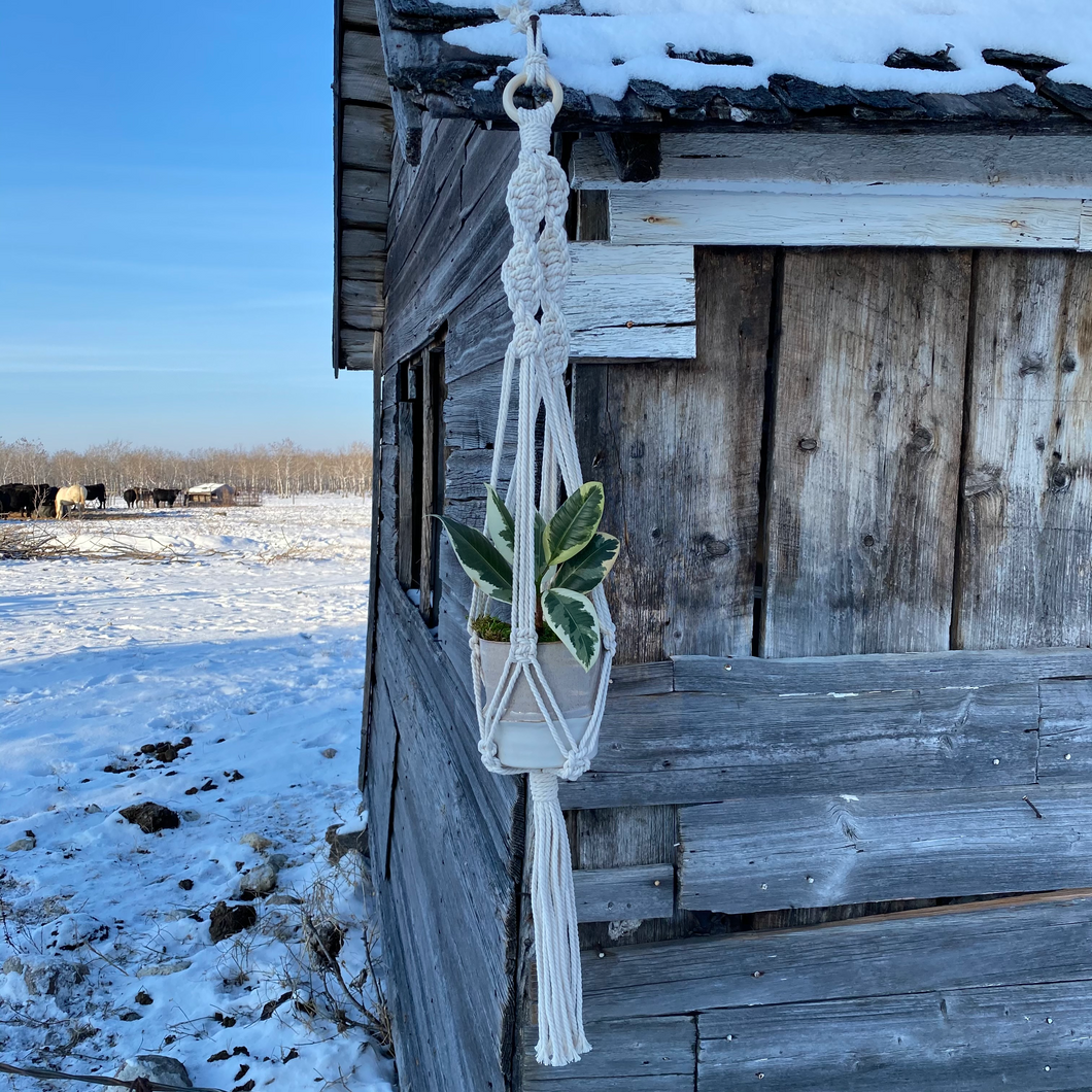 Macramé Plant Hanger - Hiccup (3 strand)