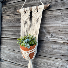 Load image into Gallery viewer, Macramé Plant Wall Hanger - Anna
