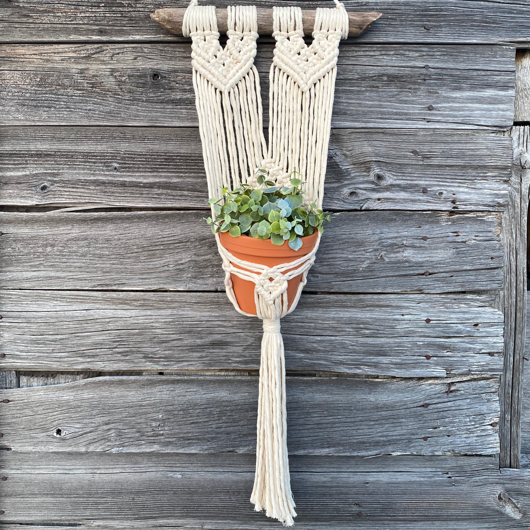 Macramé Plant Wall Hanger - Anna