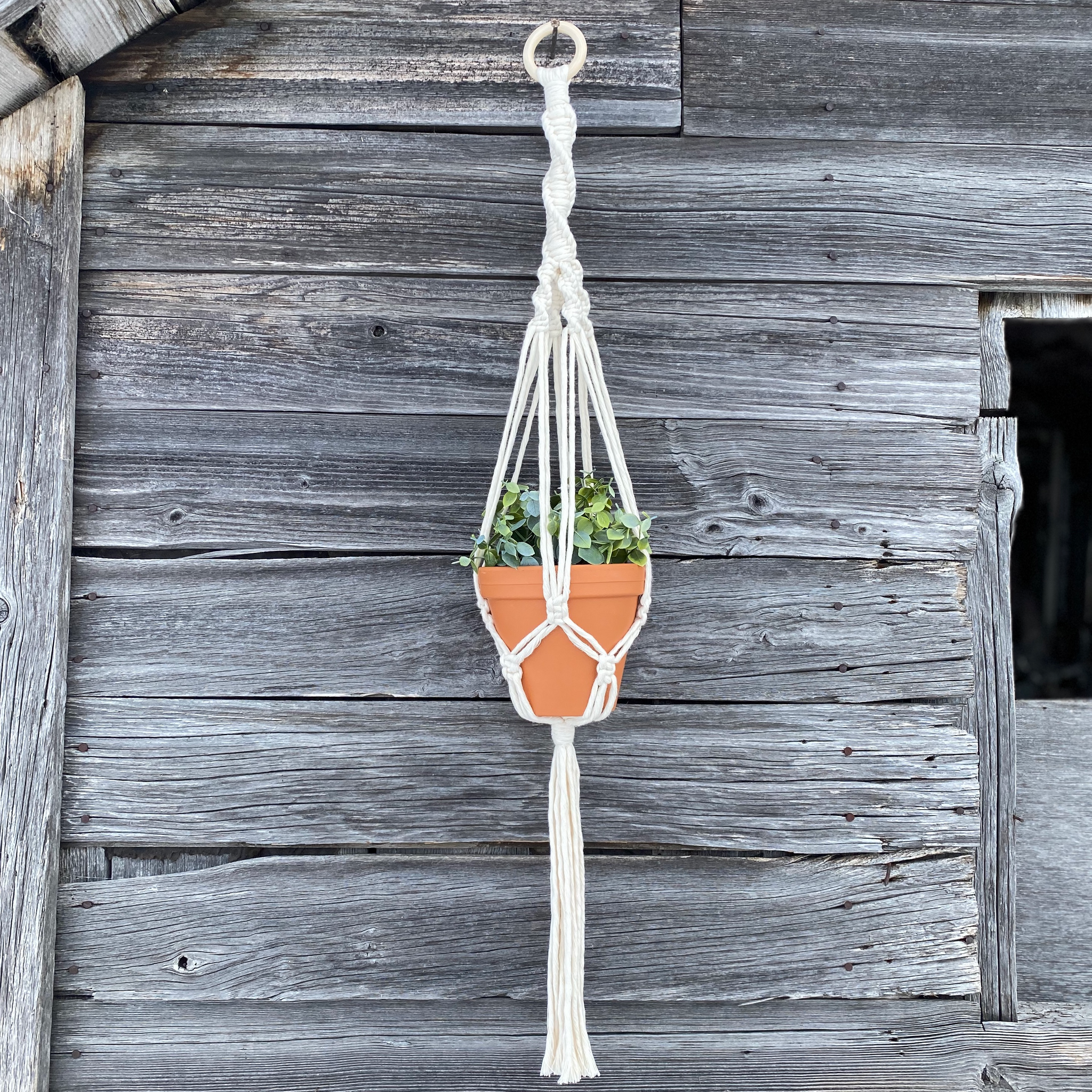 8 string macrame plant hanger Macramé Plant Hanger